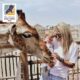 باغ وحش سافاری دبی – Dubai Safari Zoo