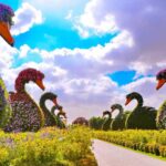 تور باغ گلها و دهکده جهانی – Miracle Garden And Global Village